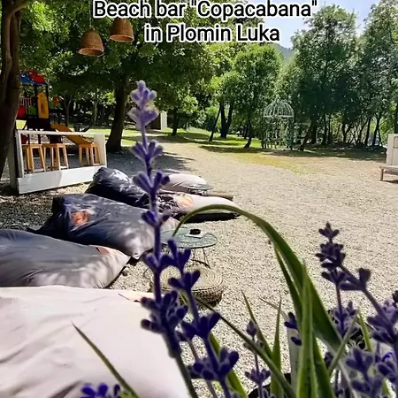 Apartament Mare *